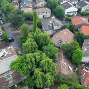 Aerial view of storm destruction in Austin, Texas