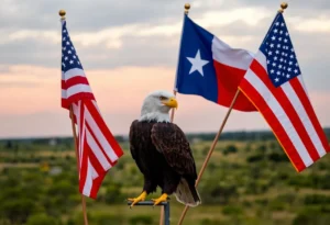 Illustration of an eagle with American flags against a Texas landscape, symbolizing political pardons.