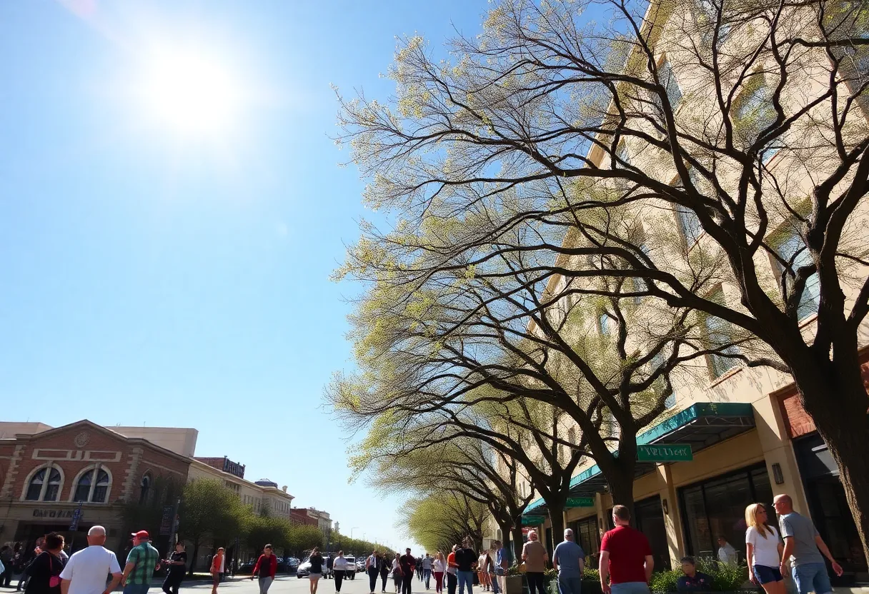 Outdoor scene in San Antonio during a warm winter day