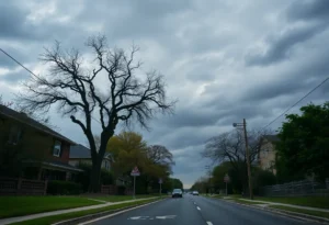 Quiet San Antonio neighborhood with houses and trees.